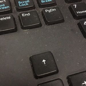 Meet your Posher, Allie